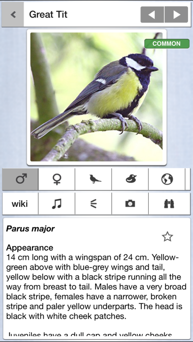 Screenshot #1 pour Birds of Britain Pocket Guide
