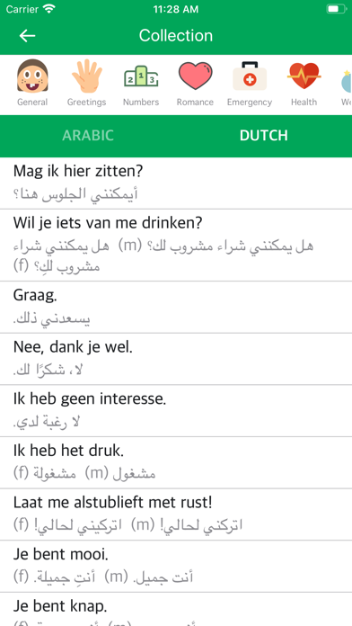 Arabic Dutch Dictionary screenshot 2