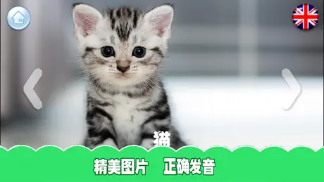 学习认知-涂色学画画