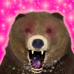 Download My Grizzly Bear app