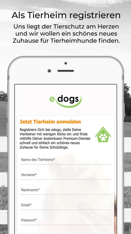 edogs