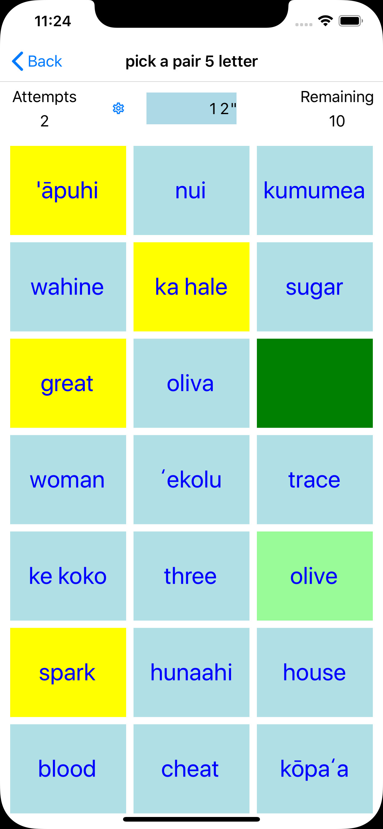 PickAPair Hawaiian - English