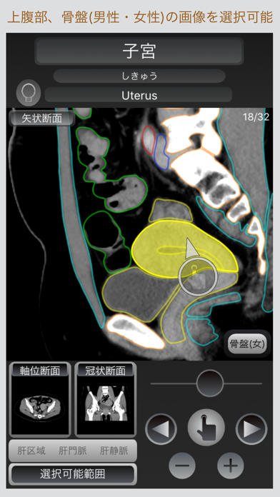 CT Passport 腹部 screenshot1