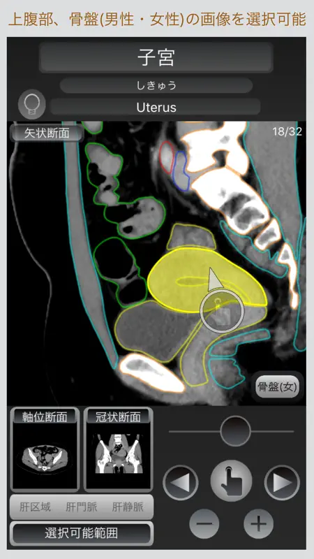 CT Passport 腹部 screenshot 5 of 5