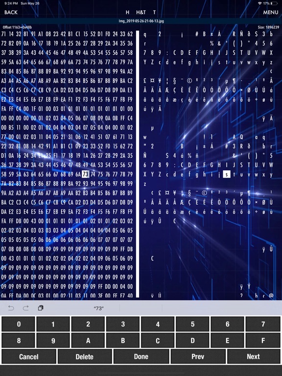 Screenshot #6 pour HEX Editor