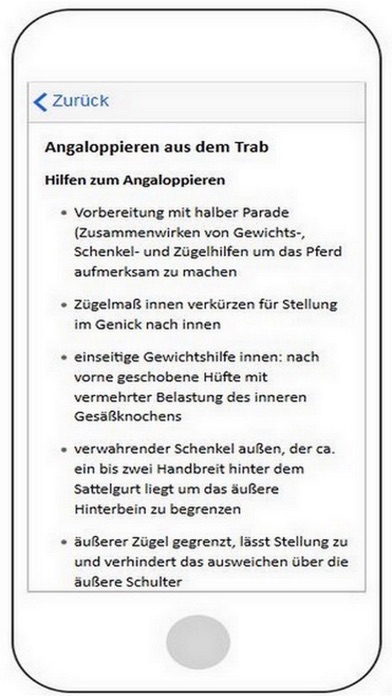 Reitabzeichen Pferdeführerchei Screenshot