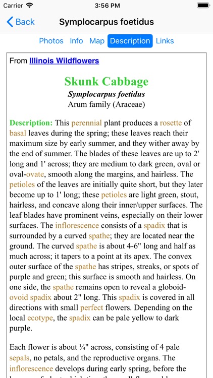 New Jersey Wildflowers screenshot-6