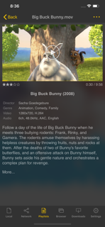 nPlayer Plus screenshot 2