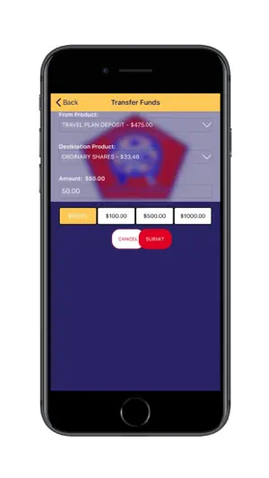 Transcorp ON D GO screenshot 3