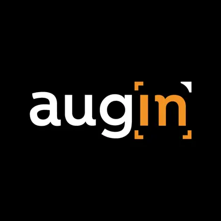 Augin Читы