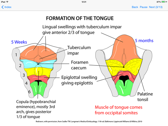 Screenshot #6 pour Embryology Lectures