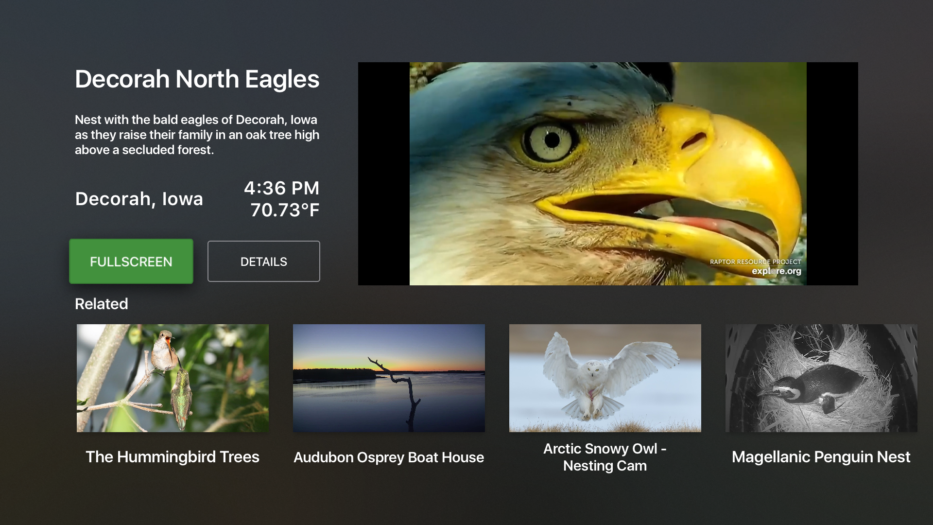Explore.org: Live Animal Cams