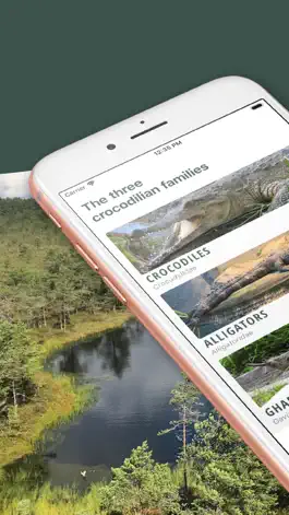 Game screenshot Crocodile, Alligator, Gharials mod apk