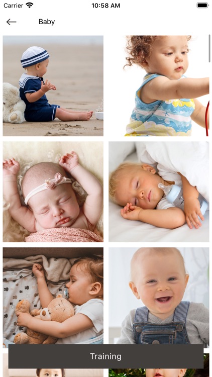 FASTA - Croquis and drawing