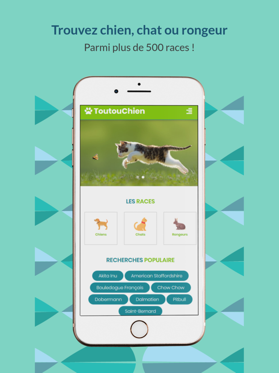 Screenshot #4 pour ToutouChien