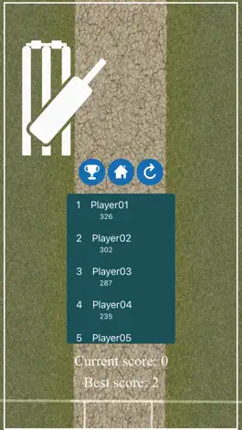 Game screenshot Bat & Ball hack