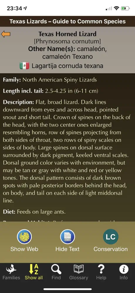 Texas Lizards