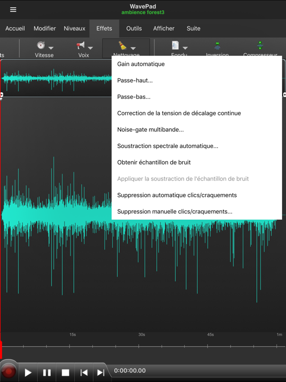 Screenshot #4 pour WavePad Professionnel 2022
