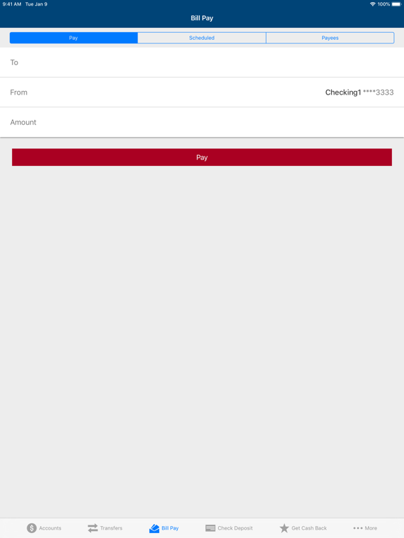 AmeriCU Credit Union iPad screenshot 5 - Finance app