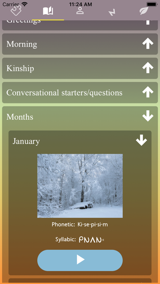 #2. Cree Language (iOS) 由: Native Teaching Aids LLC