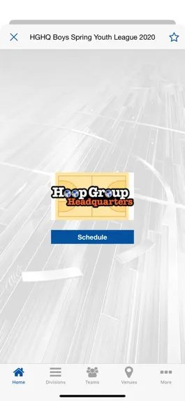 Game screenshot Hoop Group hack