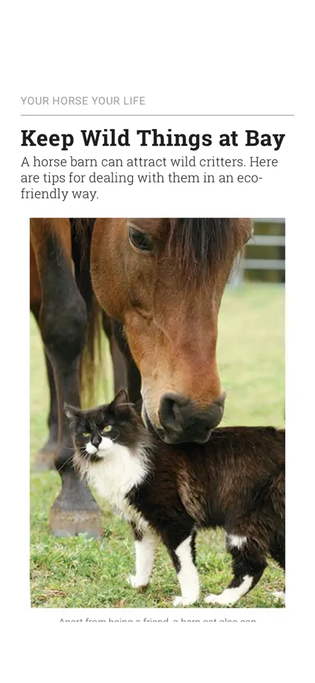 Horse&Rider USA