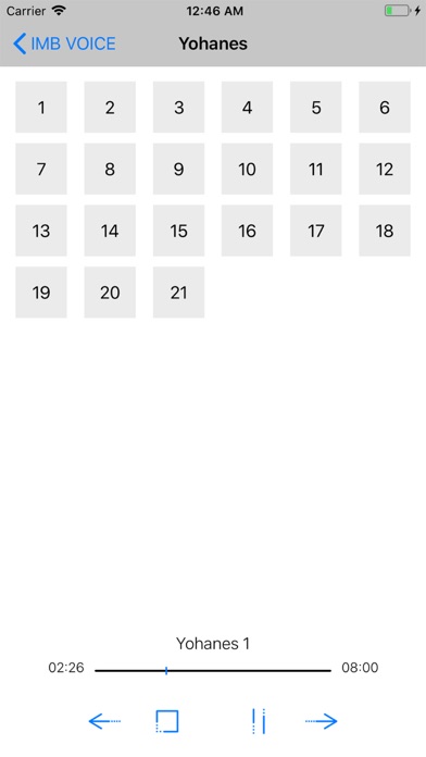 Screenshot #3 pour IMB Voice