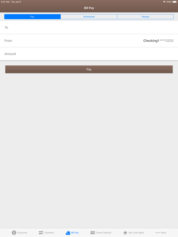 First Citizens Bank Mobile iPad screenshot 5 - Finance app