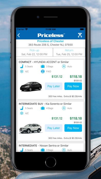 Priceless Car Rental Screenshot