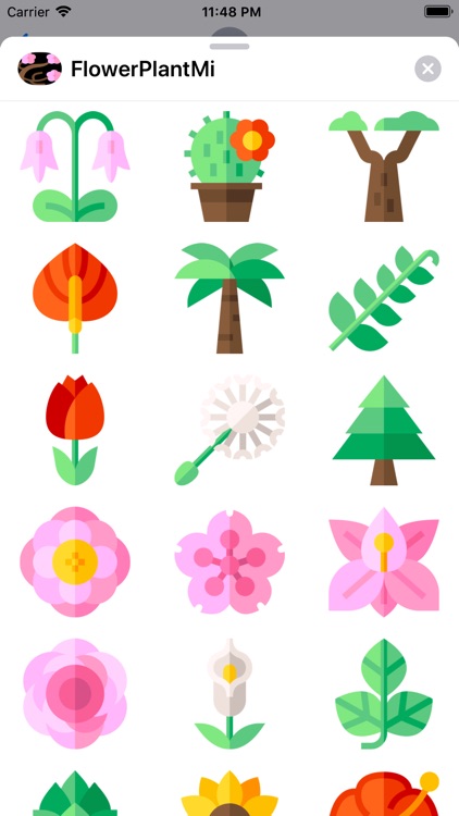 FlowerPlantMi