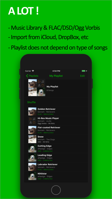 scylla - Hi-Res Music Player screenshot 3