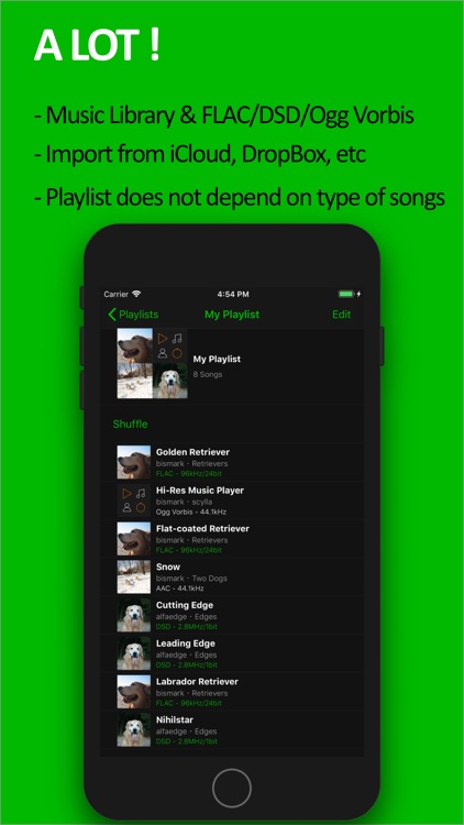 scylla - Hi-Res Music Player