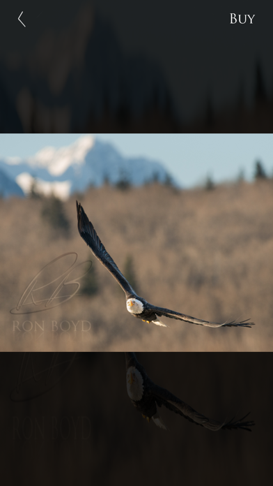 Nature and Wildlife Pictures Screenshot