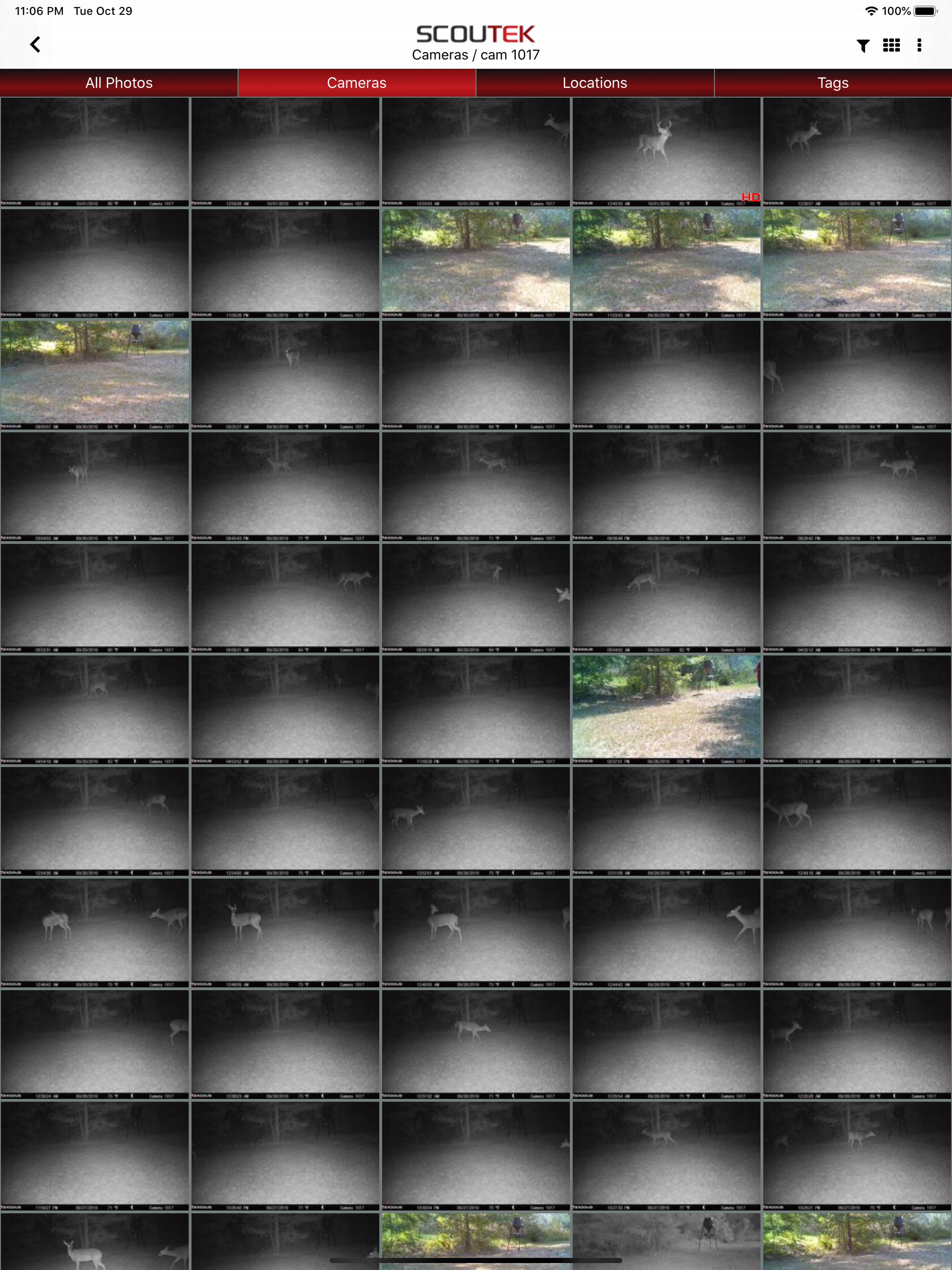 SCOUTEK Camera Management