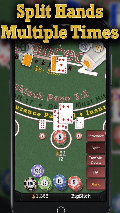 Advanced 21 Blackjack screenshot-5