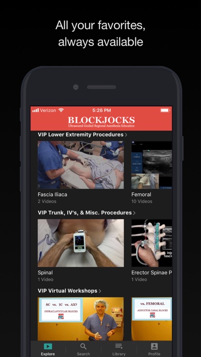 BLOCKJOCKS Screenshot