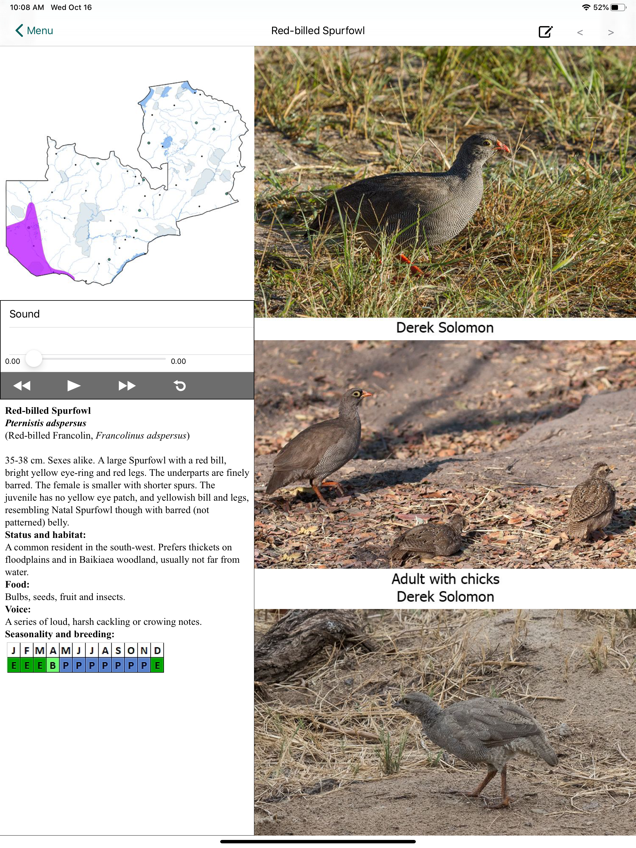 Birds of Zambia