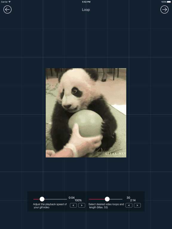 Screenshot #6 pour GifVid - GIF to Video Convert
