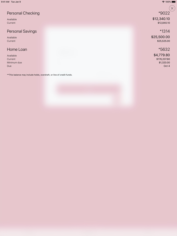 Screenshot #4 pour Saratoga National Bank