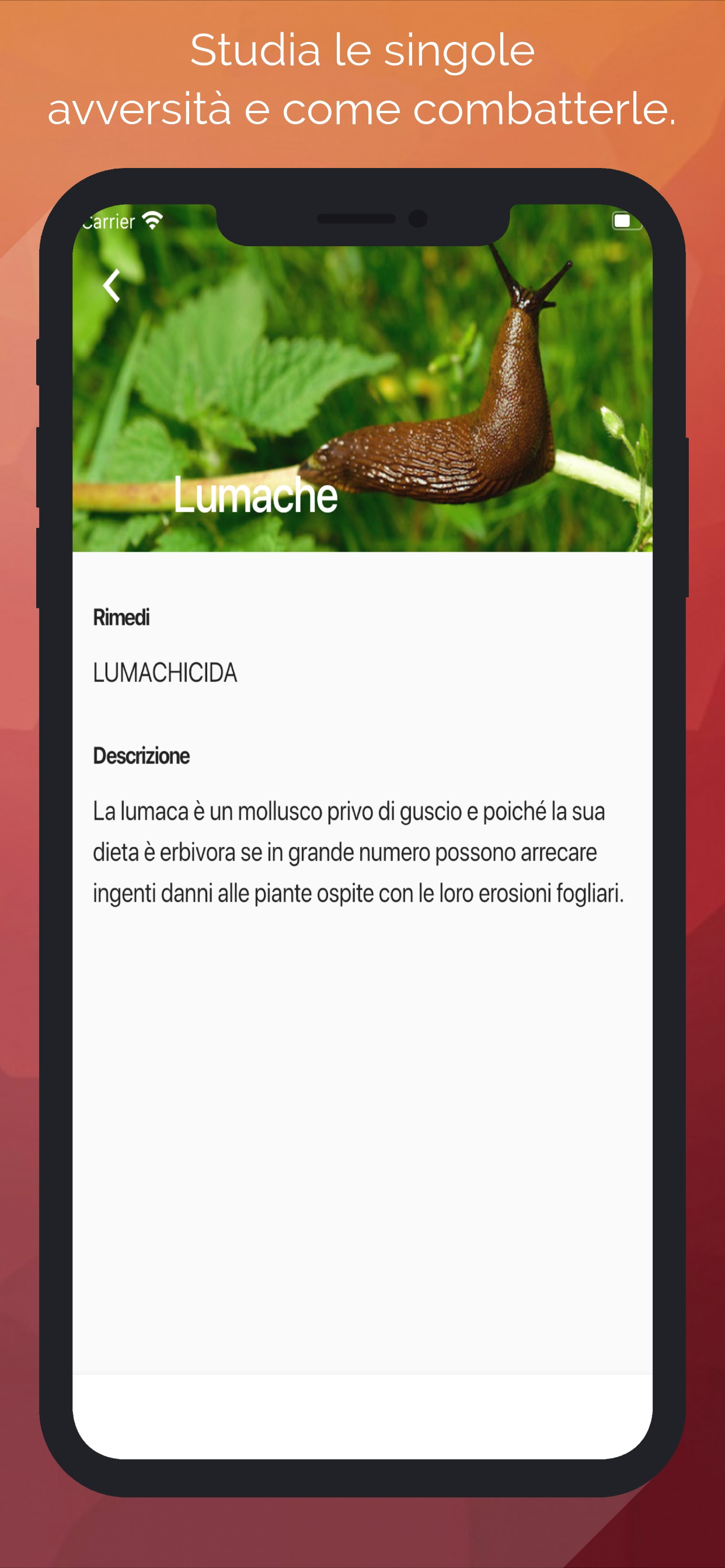 Piante ornamentali screenshot 4