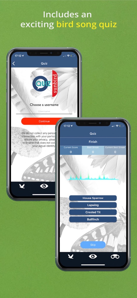 Bird Song Id UK - bird-song-id-uk-quiz-feature