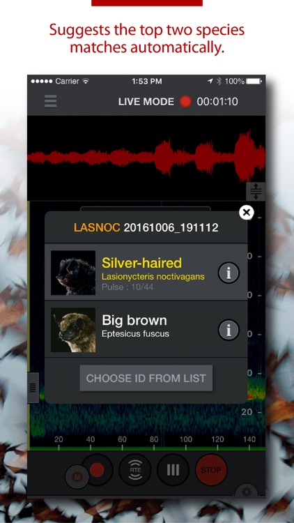 Echo Meter Touch Bat Detector screenshot-0