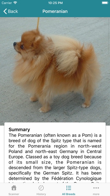 Dog Scanner screenshot-7