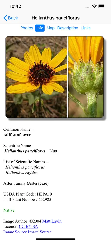 Minnesota Wildflowers