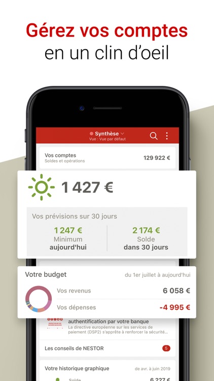 NESTOR gestion budget & compte screenshot-0
