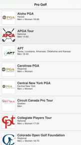 Pro Golf screenshot