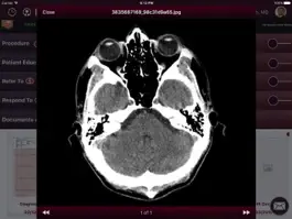 Game screenshot iPatientCare - EHR apk
