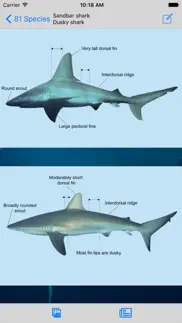 eguide to sharks and rays problems & solutions and troubleshooting guide - 4