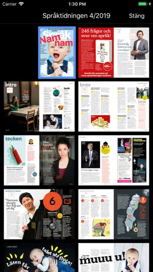 Språktidningen screenshot 2