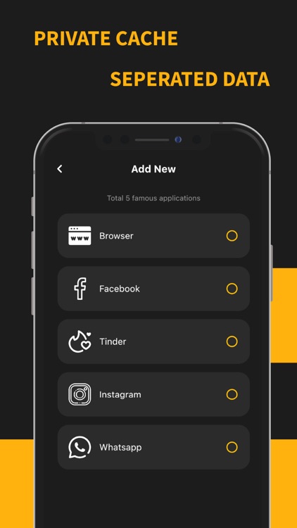 Parallel Dual Private Space